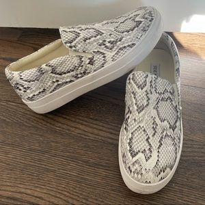 STEVE MADDEN- Snakeskin Sneakers